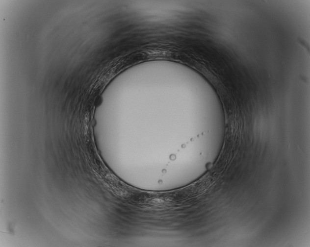 X0000100980737200806241148