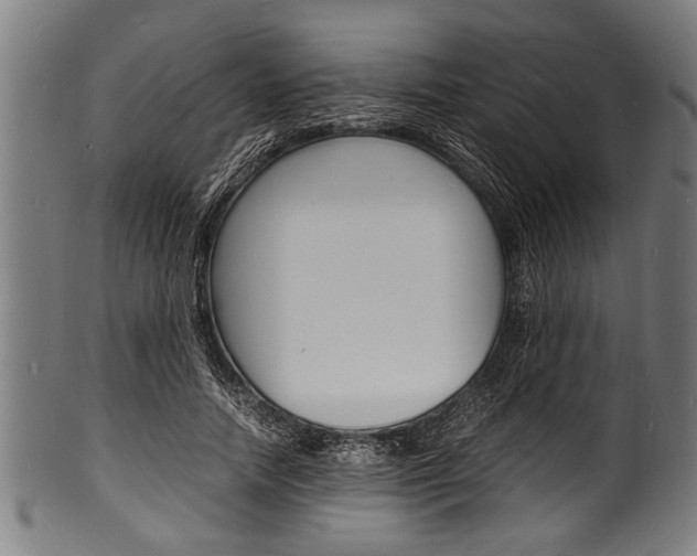 X0000100980738200806241148