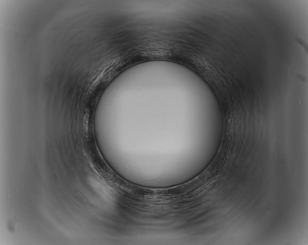 X0000100980739200806241148