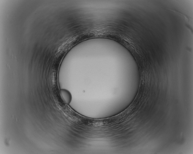 X0000100980740200806241148