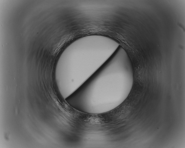 X0000100980742200806241148