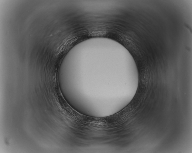 X0000100980743200806241148