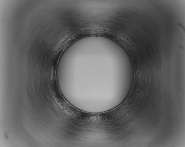 X0000100980744200806241148