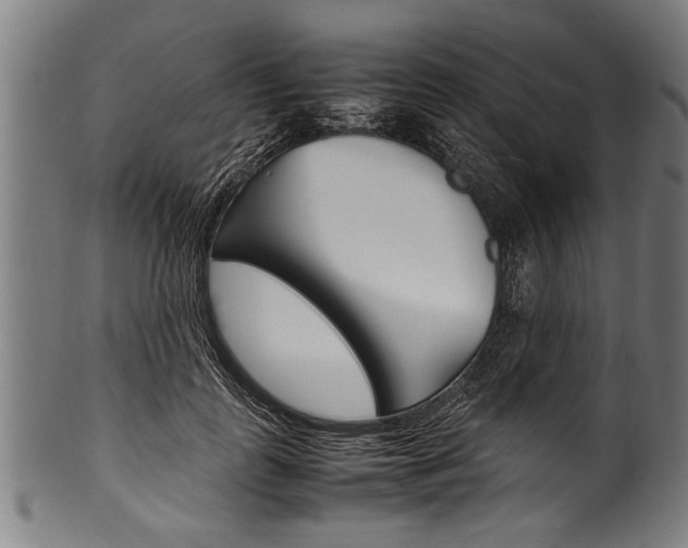 X0000100980747200806241148