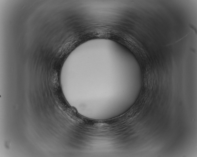 X0000100980748200806241148
