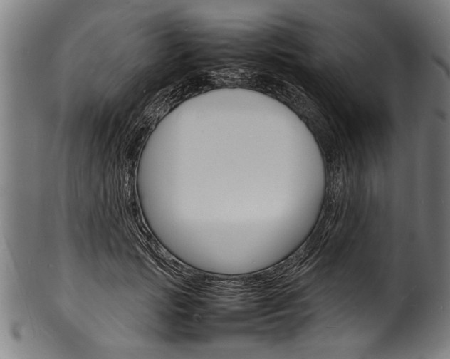 X0000100980749200806241148
