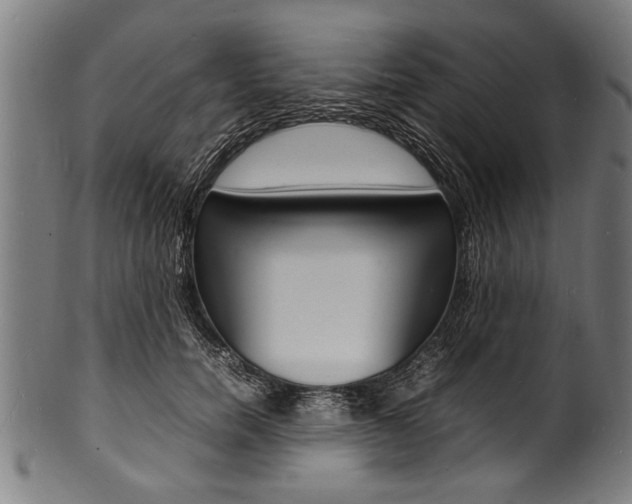 X0000100980750200806241148
