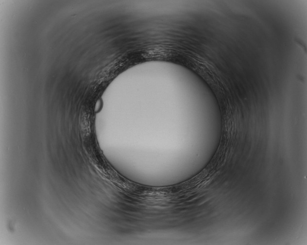 X0000100980751200806241148