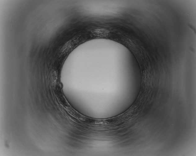 X0000100980752200806241148