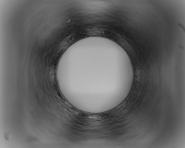 X0000100980753200806241148
