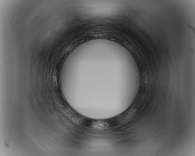 X0000100980754200806241148