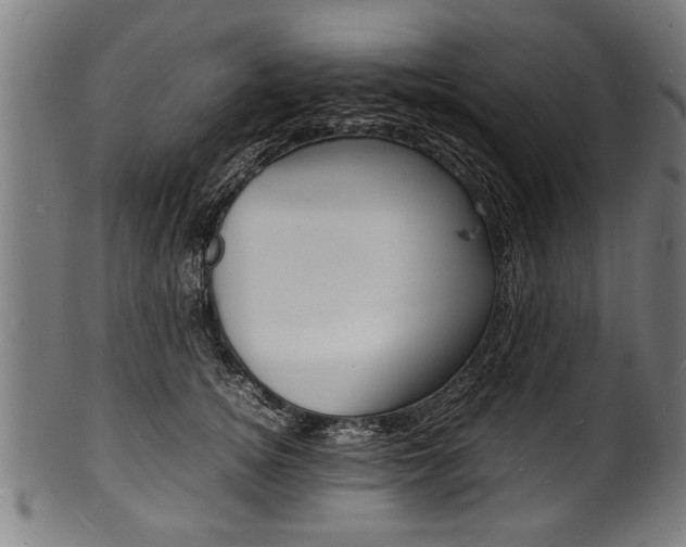X0000100980756200806241148
