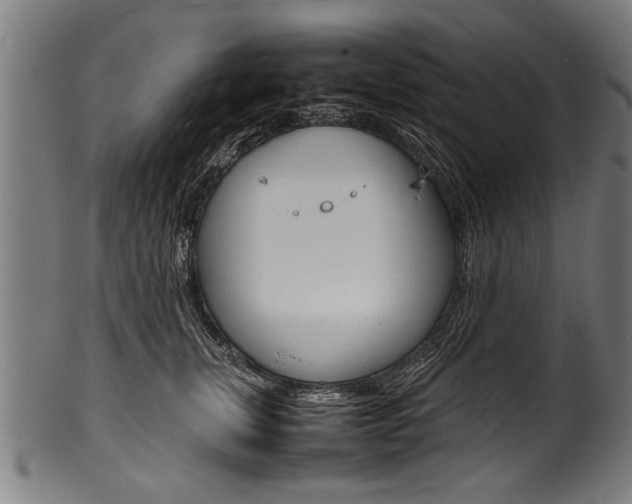 X0000100980759200806241148