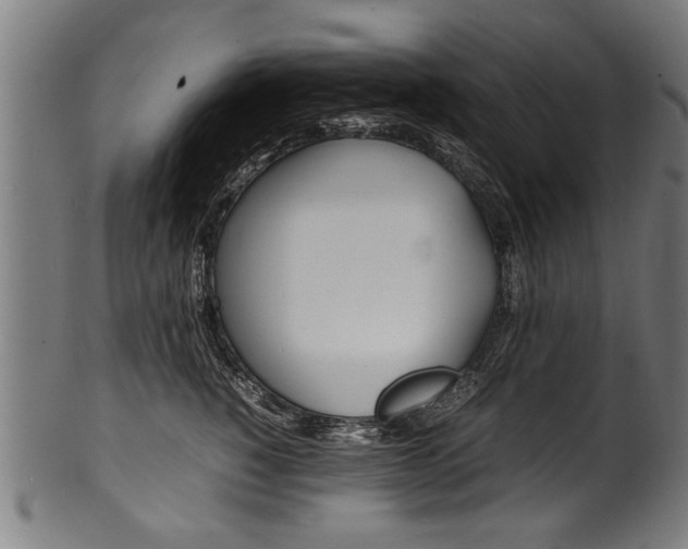 X0000100980760200806241148