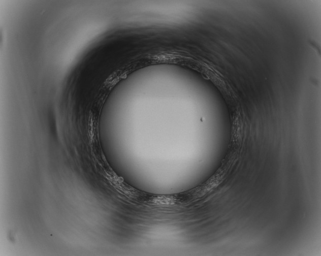 X0000100980762200806241148