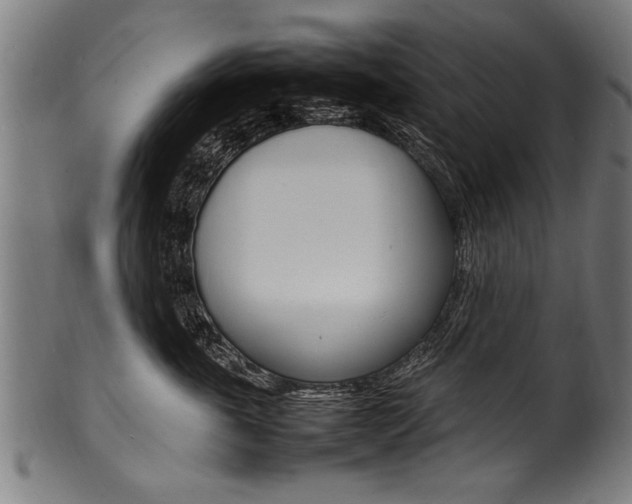 X0000100980763200806241148