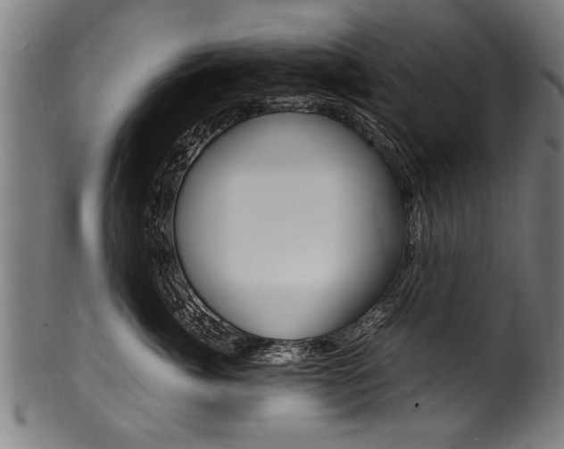 X0000100980764200806241148