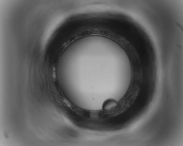 X0000100980766200806241148