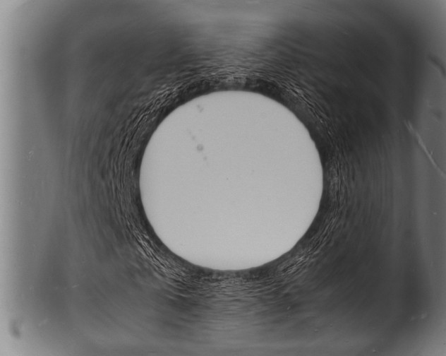 X0000100980769200806241147