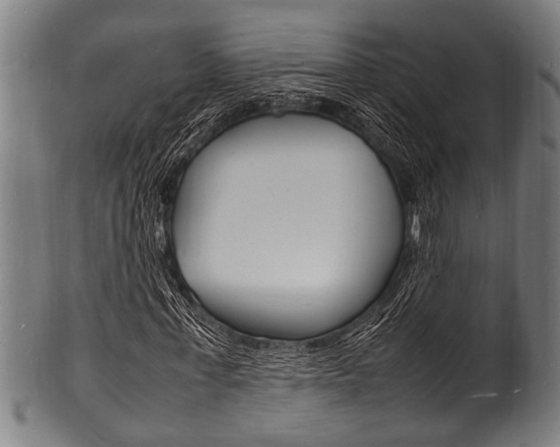 X0000100980771200806241147