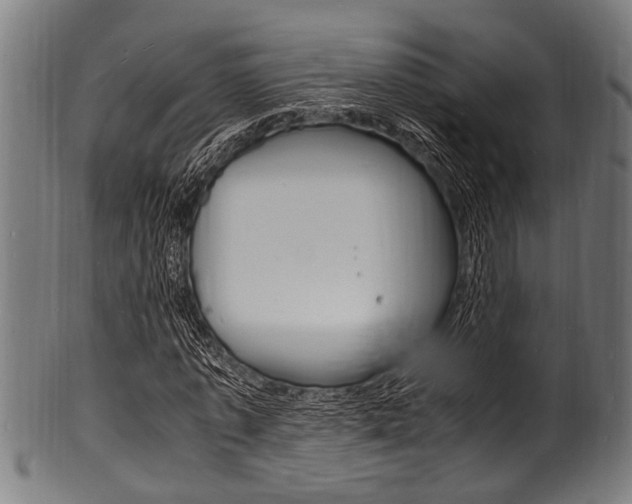 X0000100980773200806241147