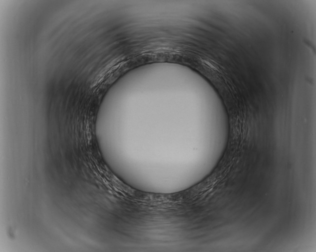 X0000100980774200806241147