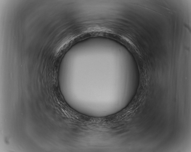 X0000100980775200806241147