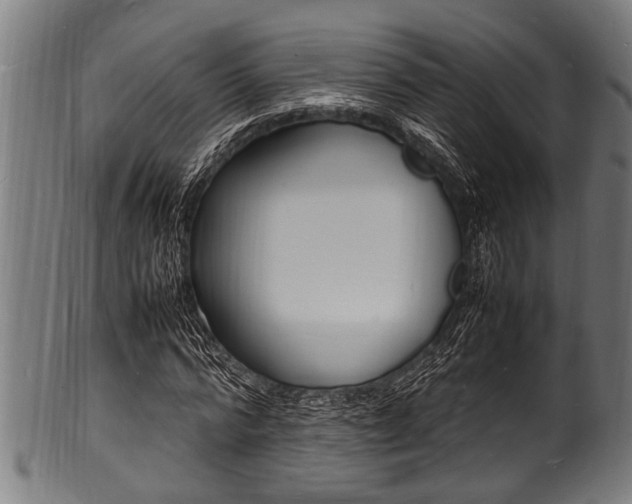 X0000100980776200806241147