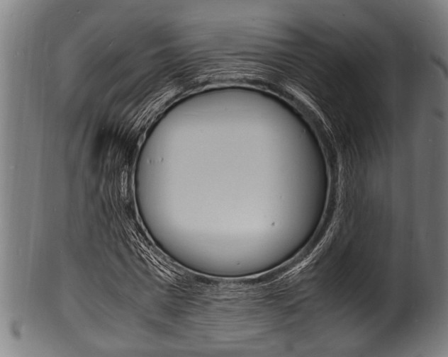 X0000100980777200806241147
