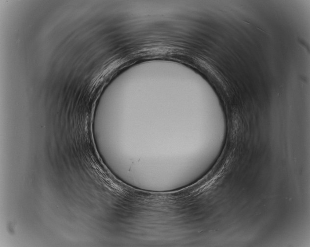 X0000100980778200806241147