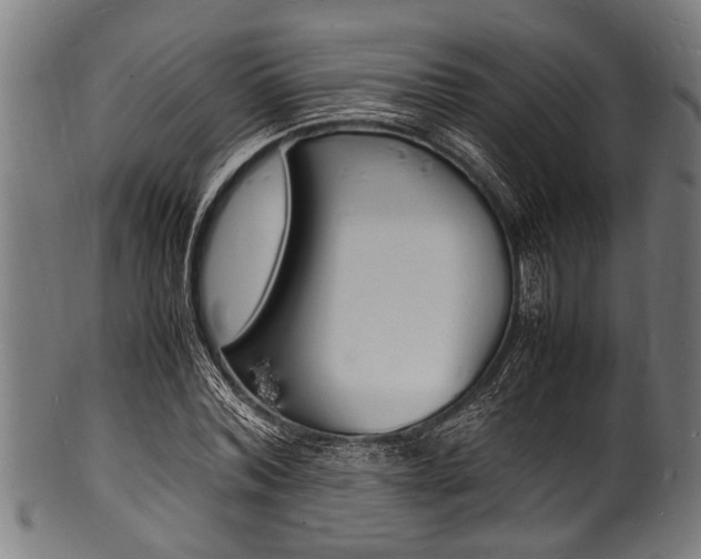 X0000100980780200806241147