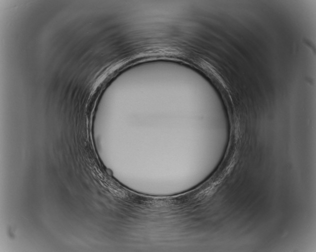 X0000100980781200806241147