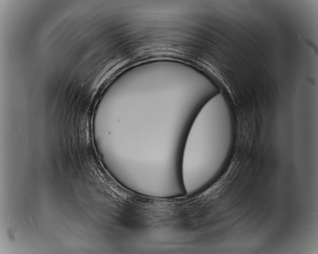 X0000100980782200806241147