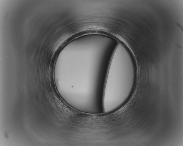 X0000100980783200806241147