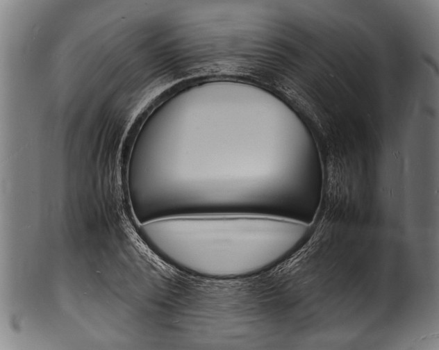 X0000100980784200806241147