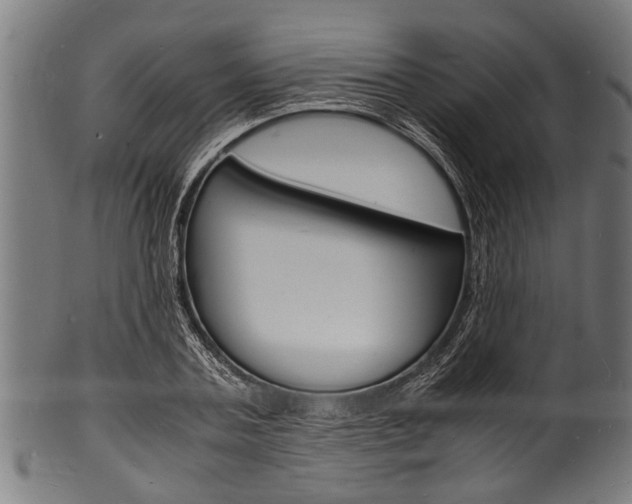 X0000100980787200806241147