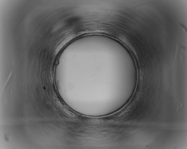 X0000100980789200806241147