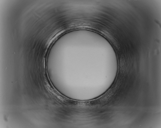 X0000100980790200806241147