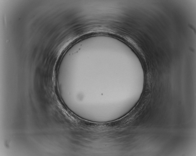 X0000100980791200806241147
