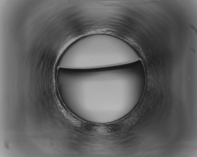X0000100980792200806241147
