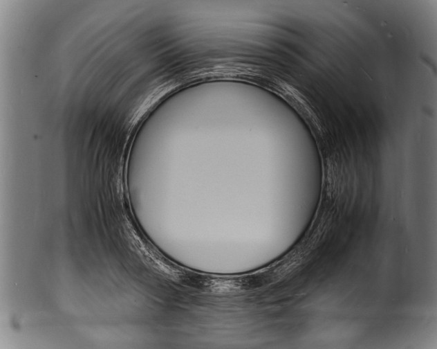 X0000100980794200806241147