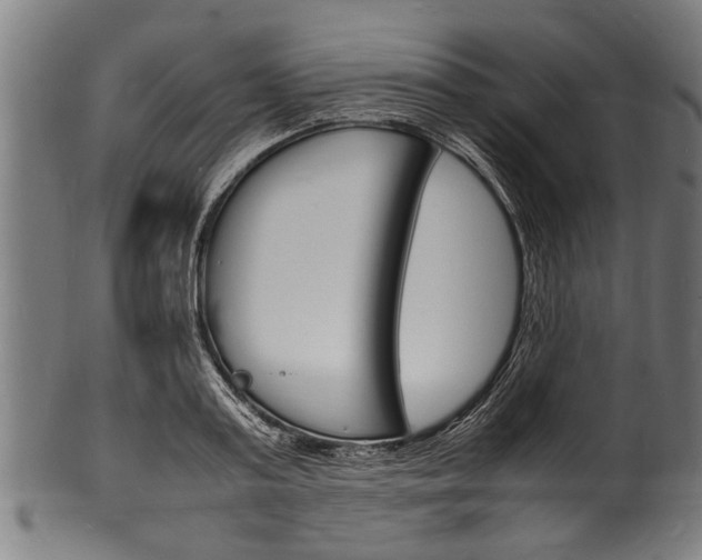 X0000100980795200806241147