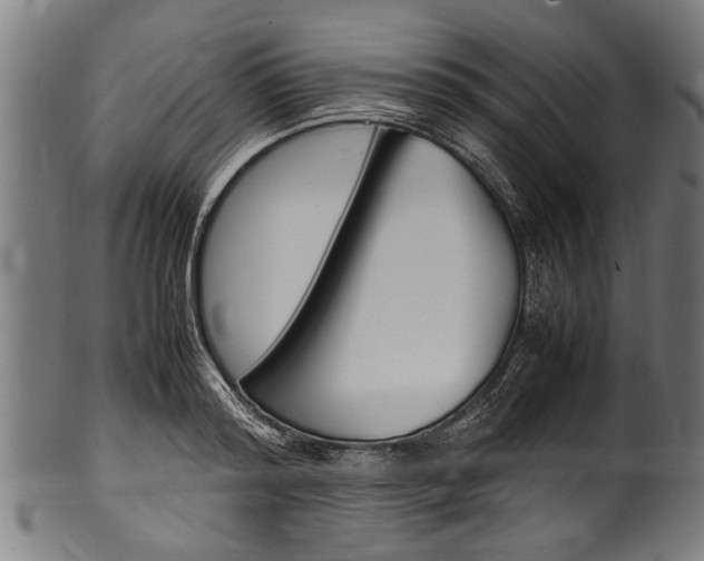 X0000100980796200806241147