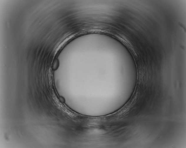 X0000100980798200806241147