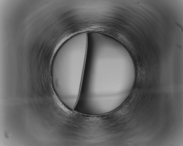 X0000100980800200806241147