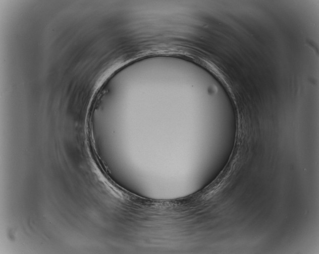 X0000100980803200806241147