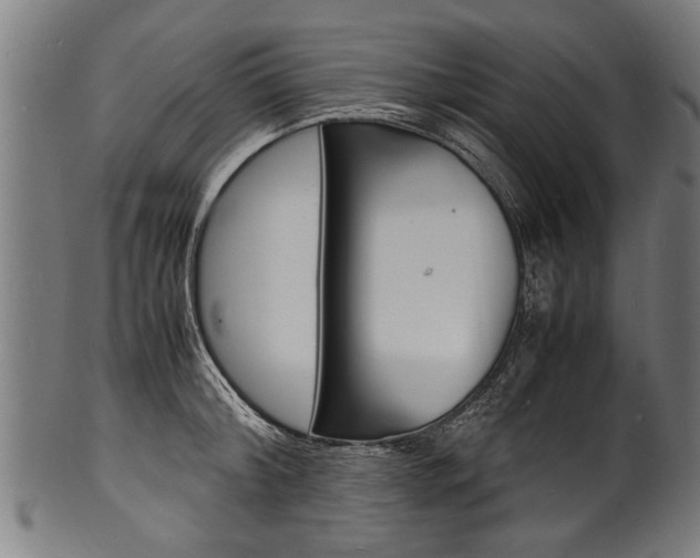 X0000100980804200806241147
