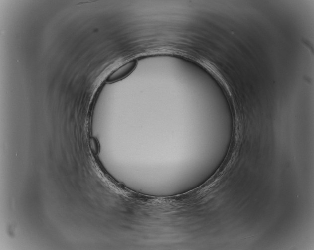 X0000100980805200806241147