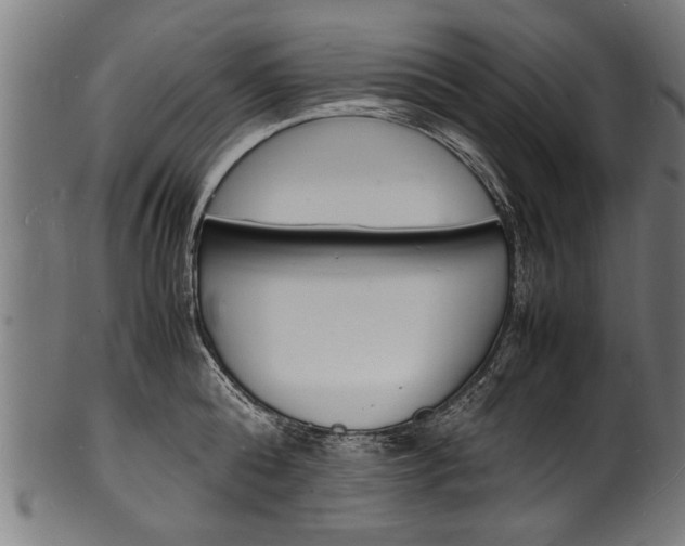 X0000100980808200806241147