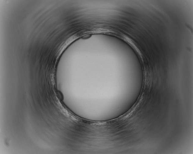 X0000100980810200806241147